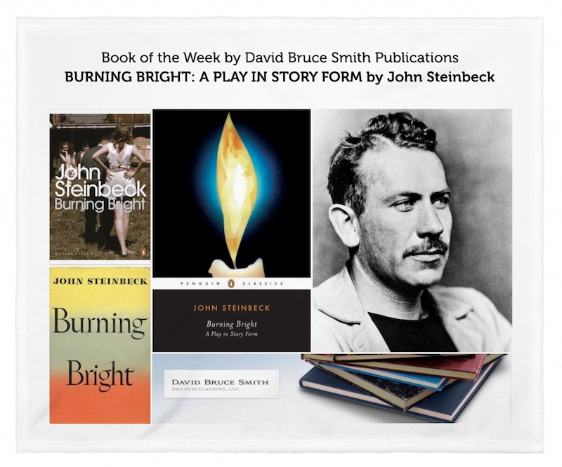 burning-bright-by-john-steinbeck-collage-2